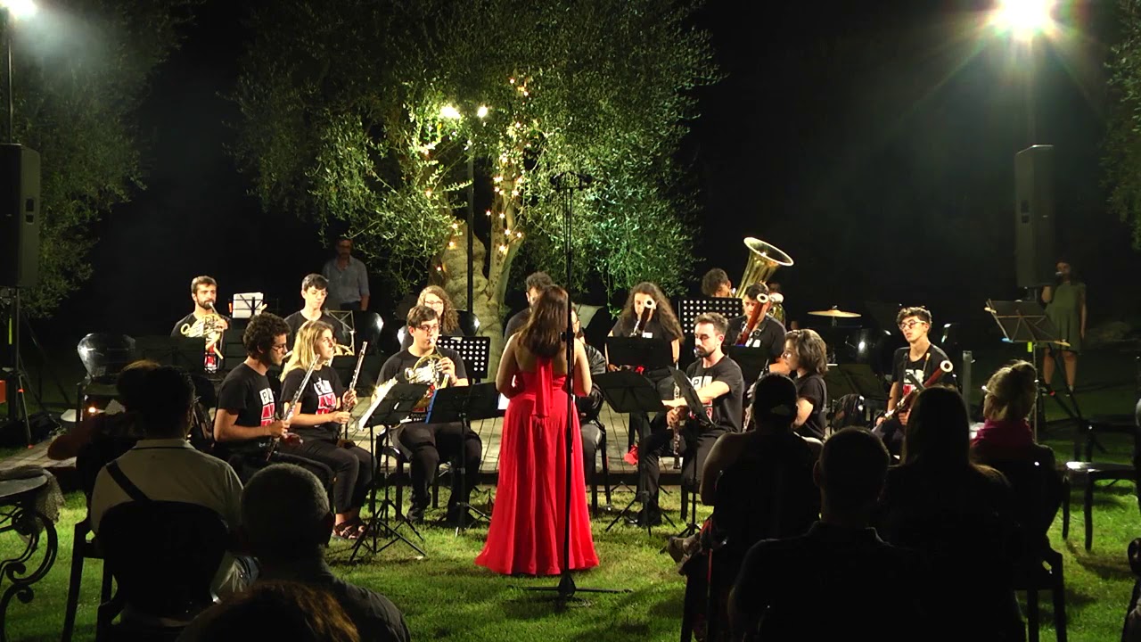 Serenade • AYSO Ensemble in concerto