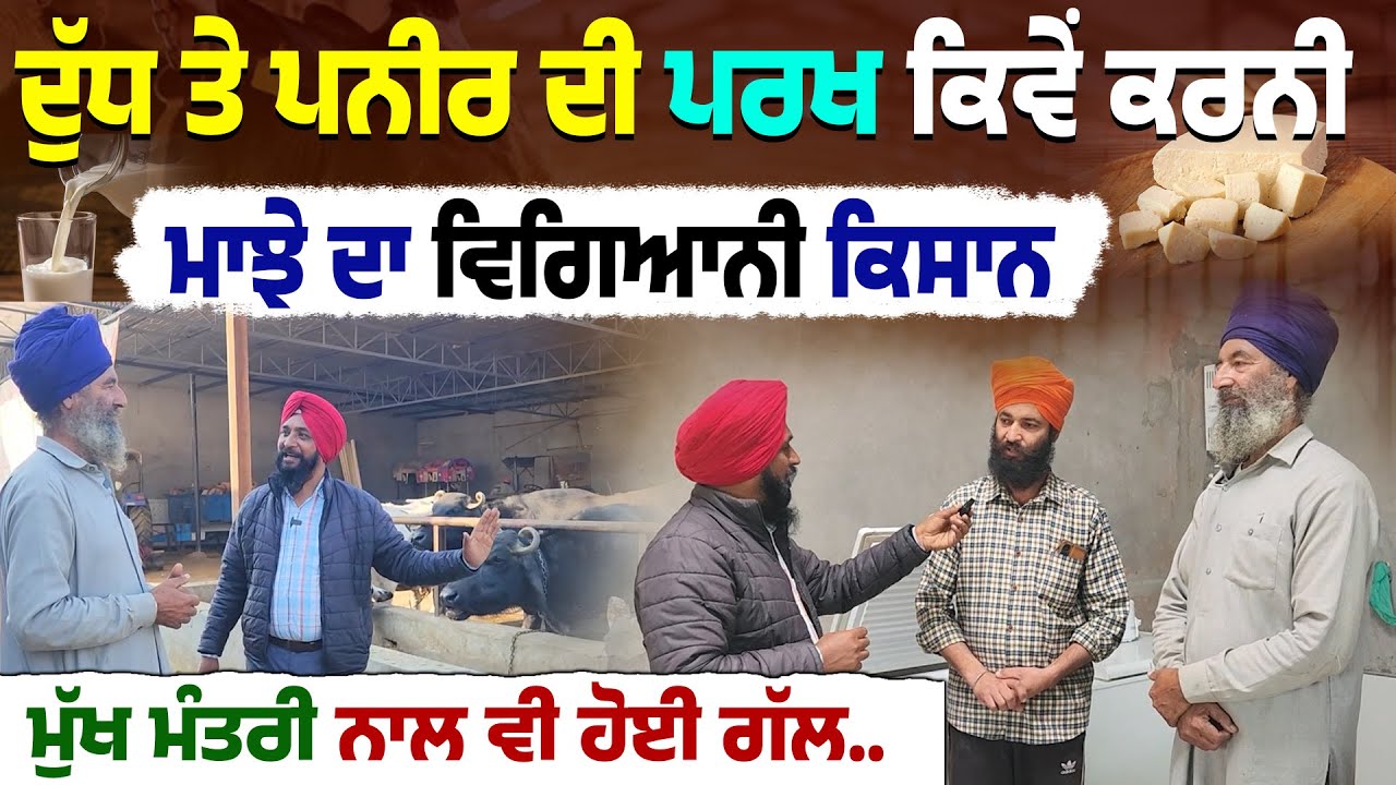 How to Check Purity of Paneer & Milk | ਮਿਲੋ ਮਾਝੇ ਦੇ ਕਿਸਾਨ ਵਿਗਿਆਨੀ ਨੂੰ | Natural Agriculture