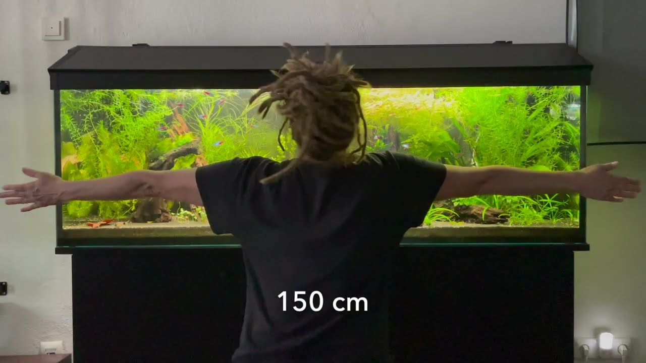 Mein 375 Liter Gesellschaftsaquarium