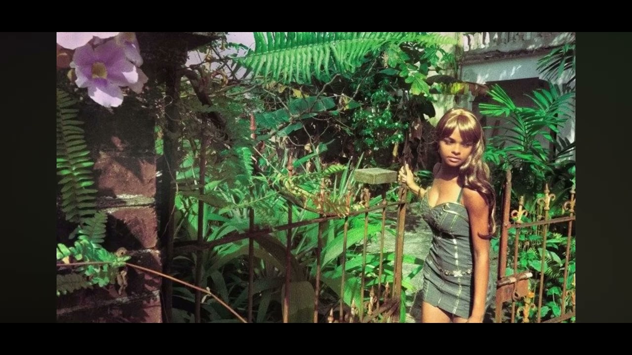 fella graciella -summer groove