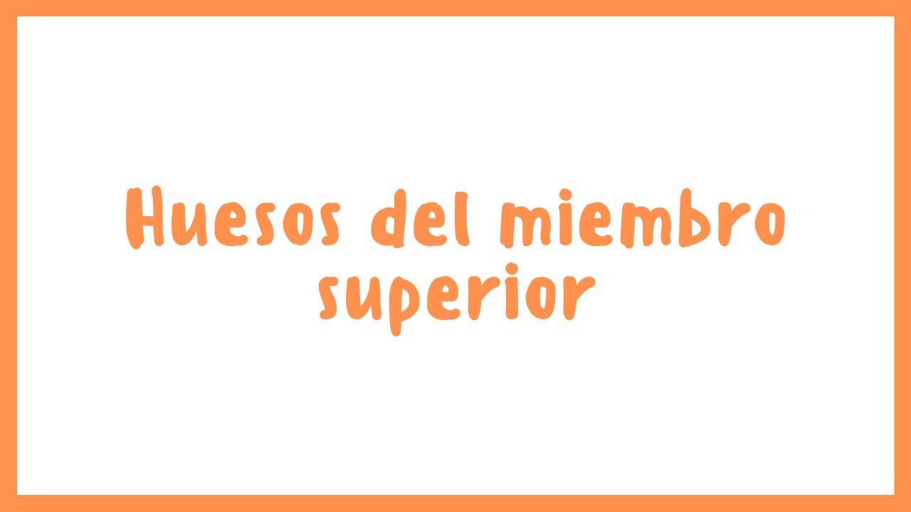 ANATOM&Iacute;A | Huesos del Miembro Superior, huesos del brazo y del antebrazo | Blasto Med