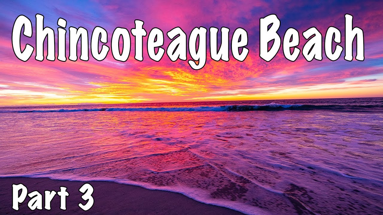 Back in the USA! | Road trip to Chincoteague Beach, VA | Part 3