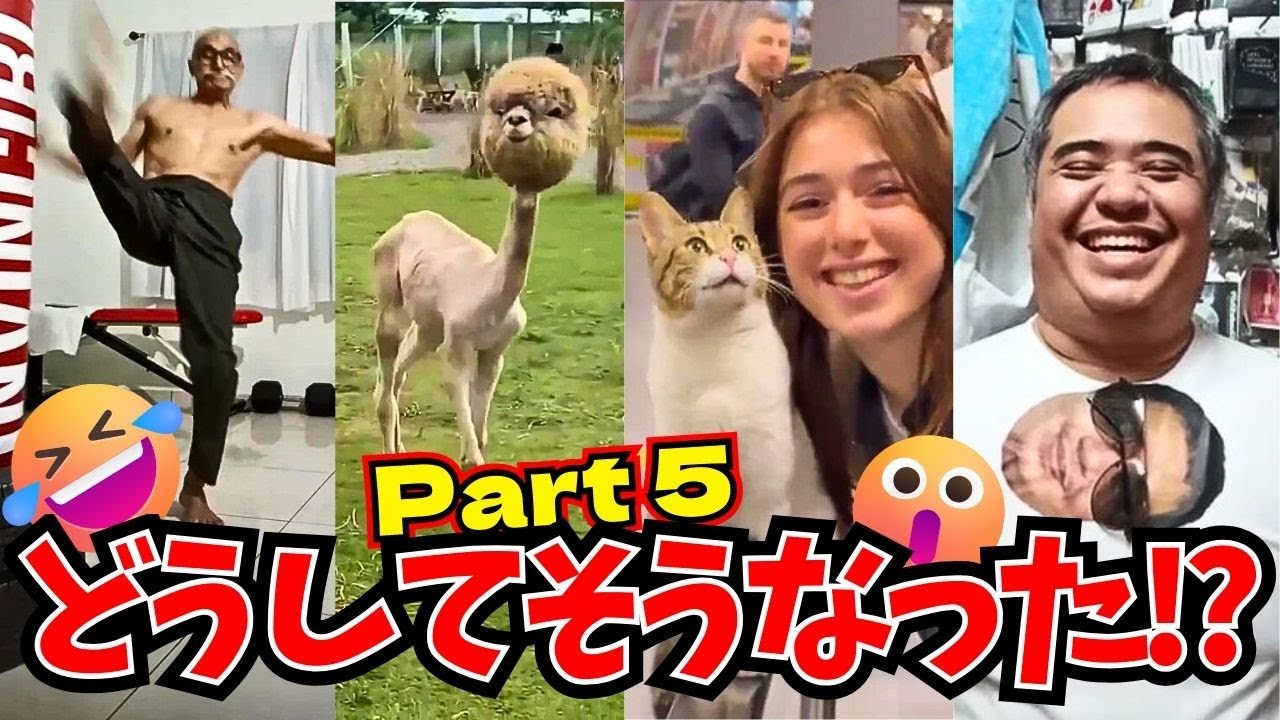 🤣どうしてそうなった!?世界のおもしろ動画【パート５✨】