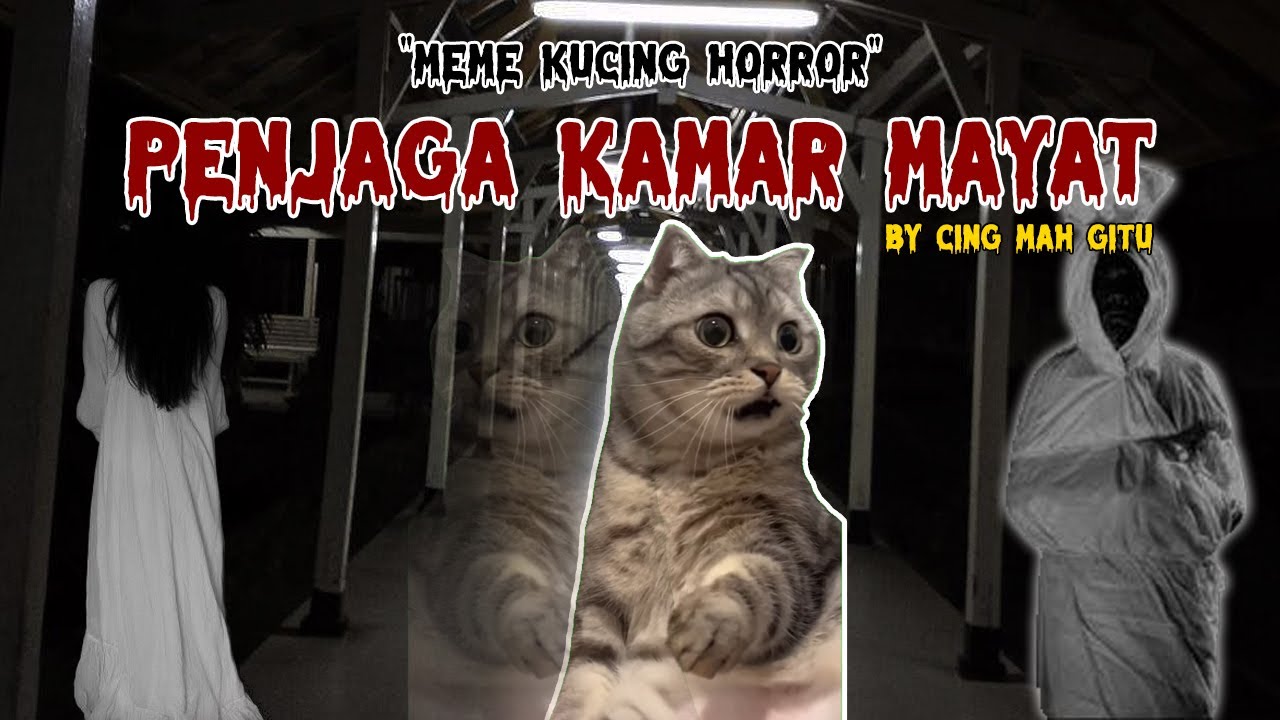 Penjaga Kamar Mayat | Meme Kucing Horor #memekucing #kucingmeme #memekucinghorror