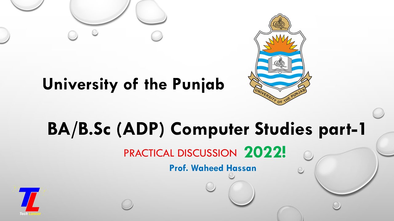 University of the Punjab Computer Studies 1 Practical exam | Visual Basic | PU past paper | B.A/B.Sc