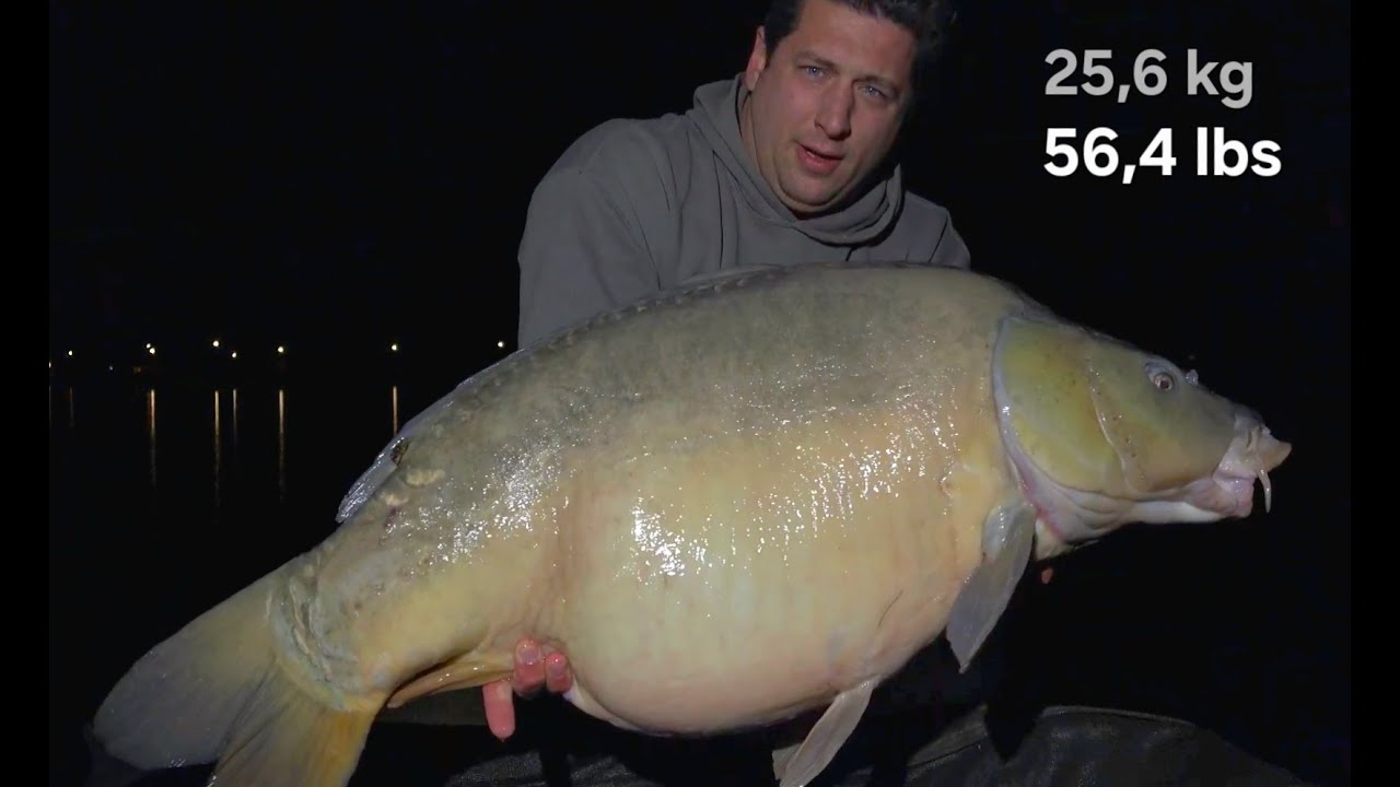 Karpervissen in de winter op een kanaal 2025 - karper vangsten tot 51 pond zwaar in Nederland