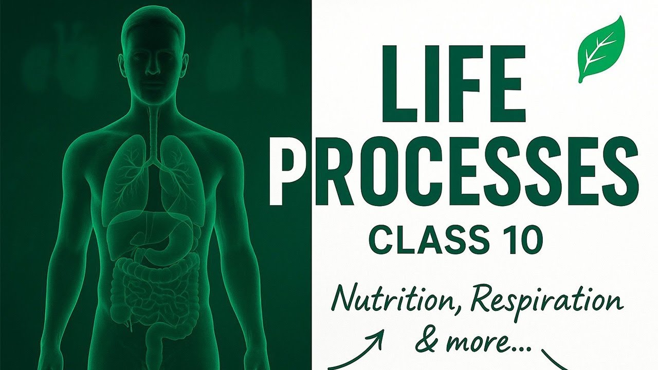 Life Processes Class 10 | What Are Life Processes? | Chapter 5 NCERT Science