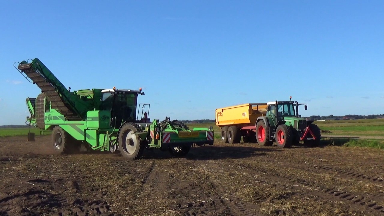 Steggink harvesting potatoes
