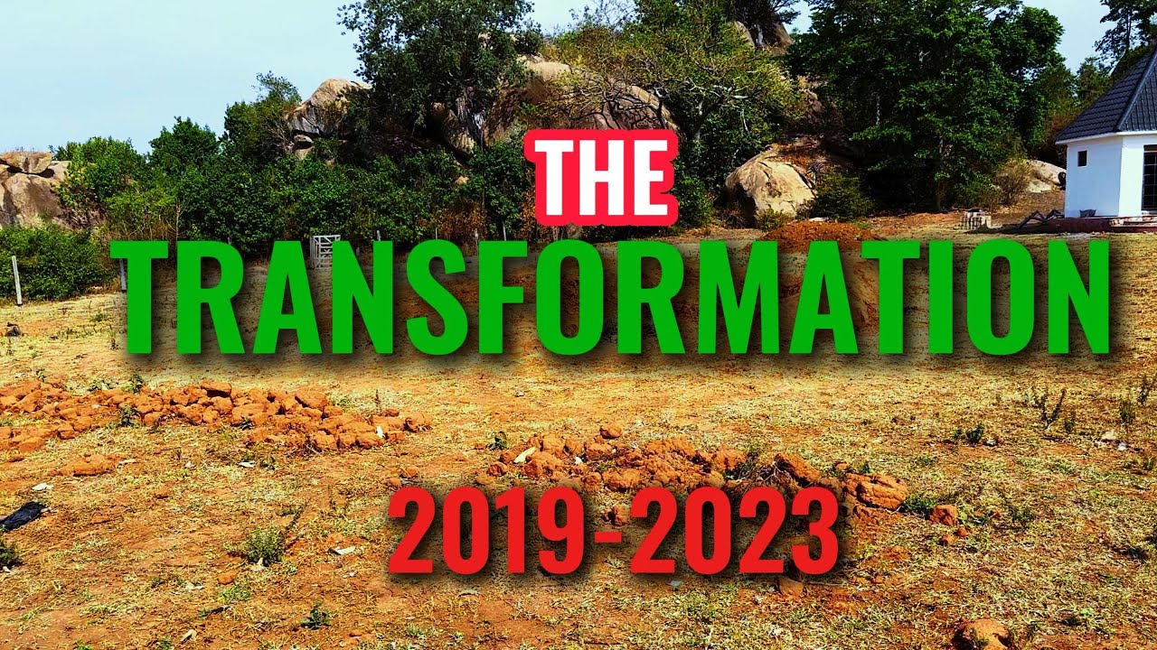 Transforming dry land into a jungle resort in Uganda pt 1