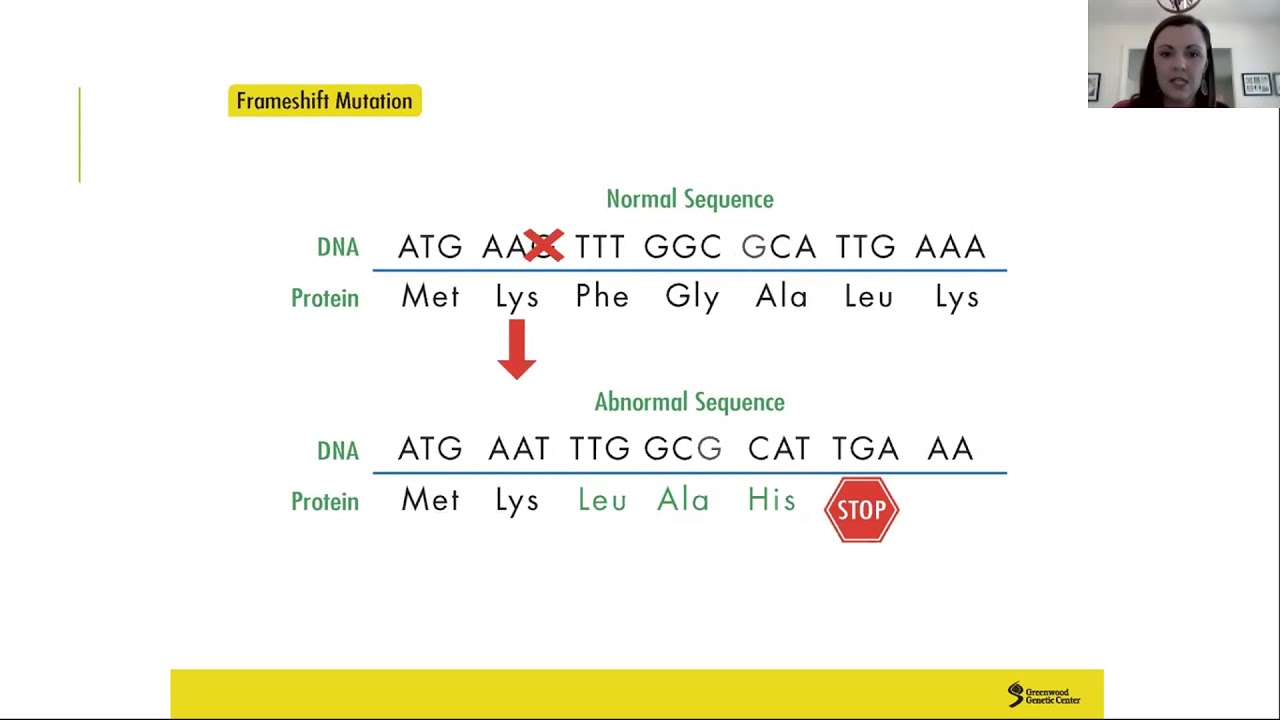 What is Genetic Testing?