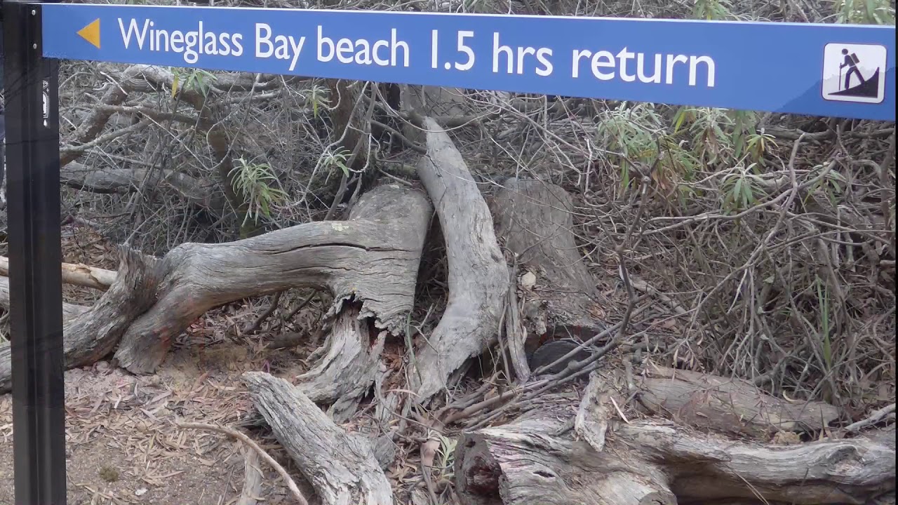 Wineglass Bay & Freycinet National Park - Tour review