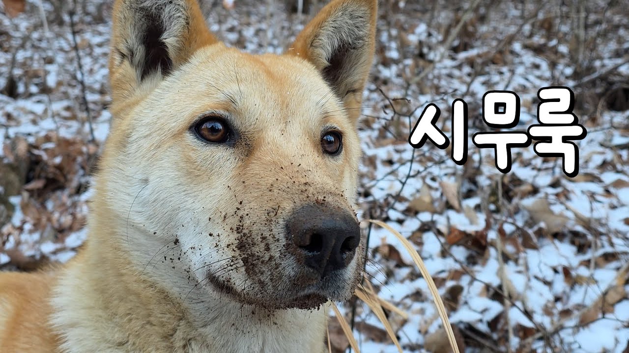 엄청 싫지만 참고 있는거야