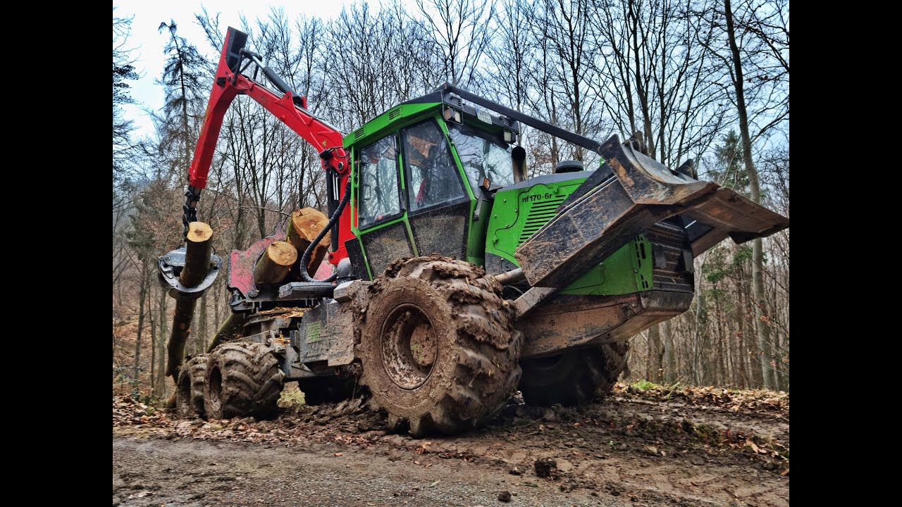 🌲NOE 170-6R *Kraftpaket • Kombi Maschine • Logging Video • Durchforstung • forestwork • Big trees🌲