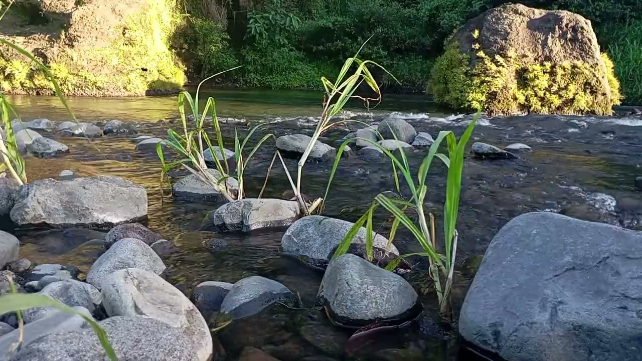 Dark Sky, Silver River | Peaceful Water Sounds All Night