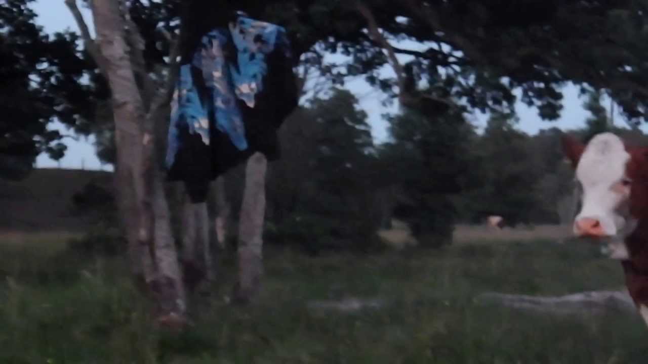 Tokjocke,Kenny Karp och Nille Apa metar ål