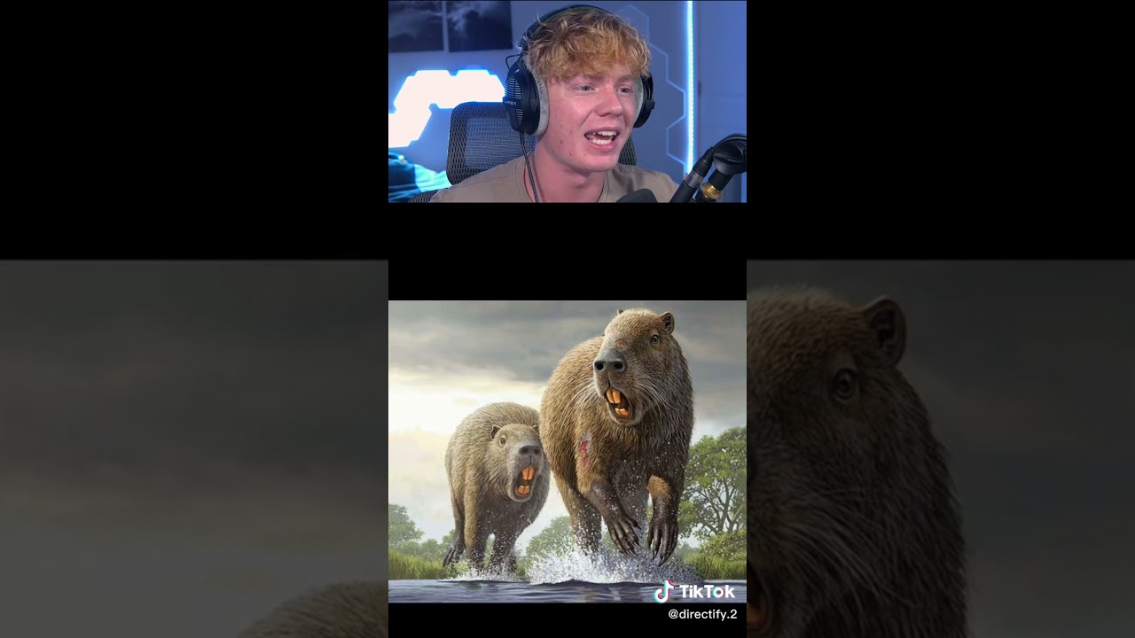 Animals That Used To Be Giants! 🦖
