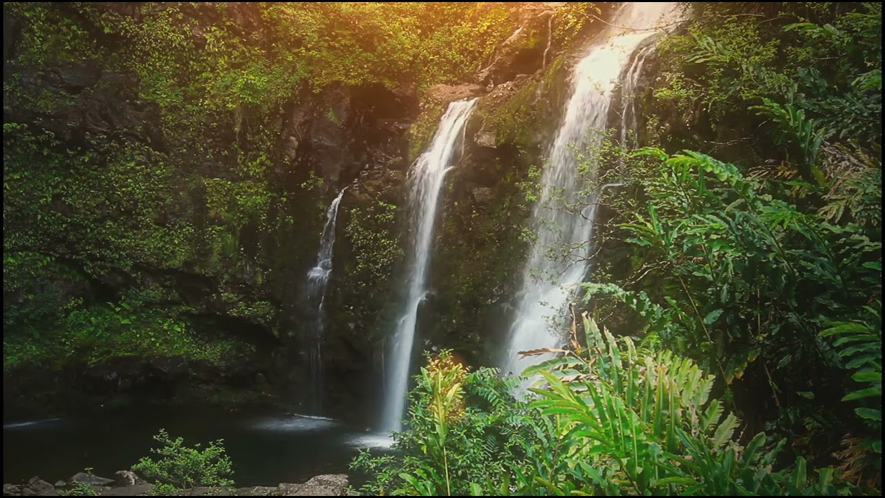 Dégagez le stress, libérez l'énergie ! #relaxation#musiquerelaxante#detente#developpementpersonnel