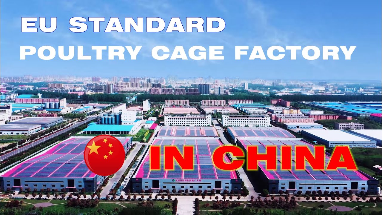 Have you ever seen a poultry cage manufacturer in China?