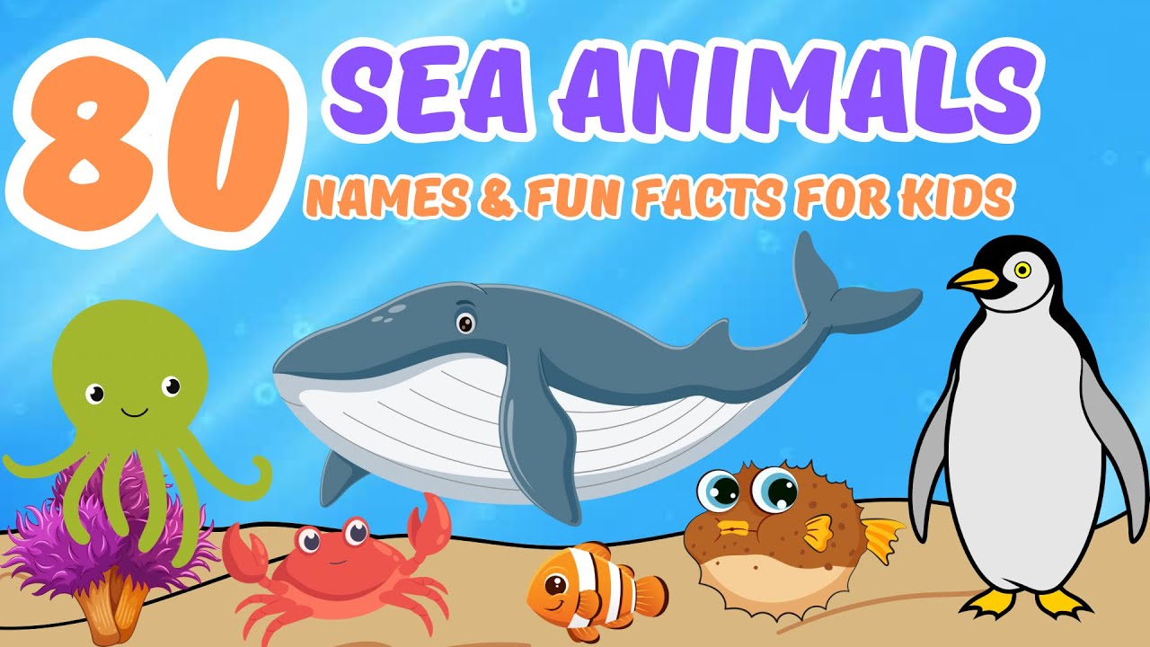 Mega Ocean Learning Video for Kids  – Discover 80 Cool Sea Creatures! 🌊🐳 Best Sea Animals Video