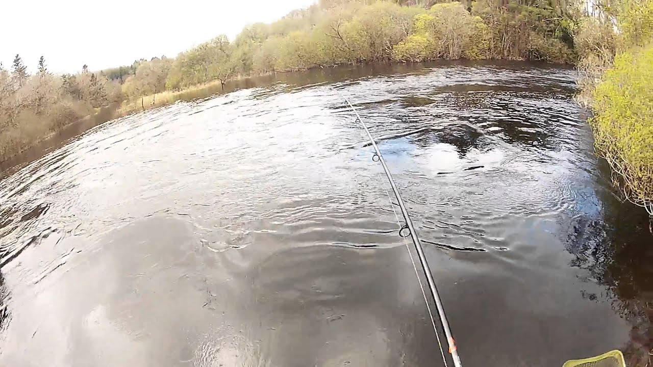 Trout on Abu Atom