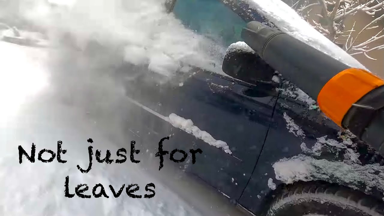 Stihl backpack snow blower, Installing wood paneling, cold weather and how are the chickens?