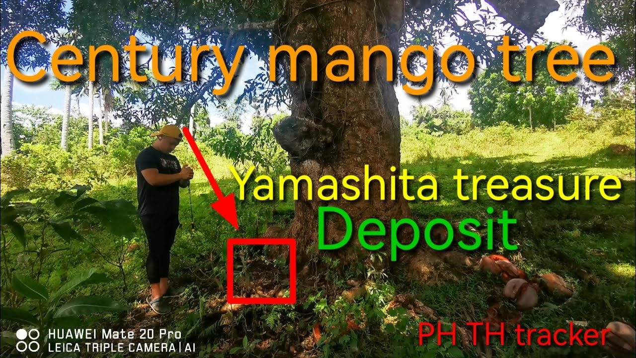 Century Mango Tree may Deposito / PH TH tracker