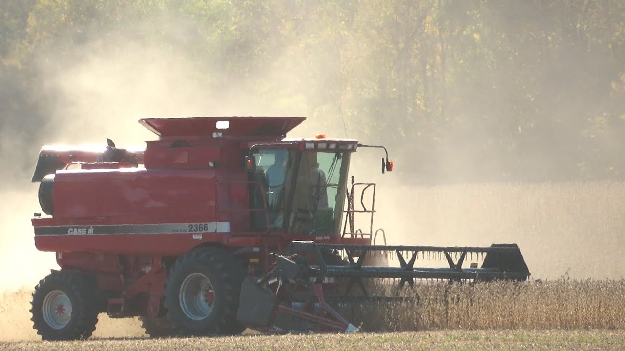 Soybean Harvest 2020 | Case IH 2366 Harvesting Soybeans | Harvest 2020