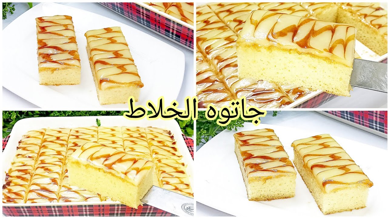 جاتوه الخلاط السريع 