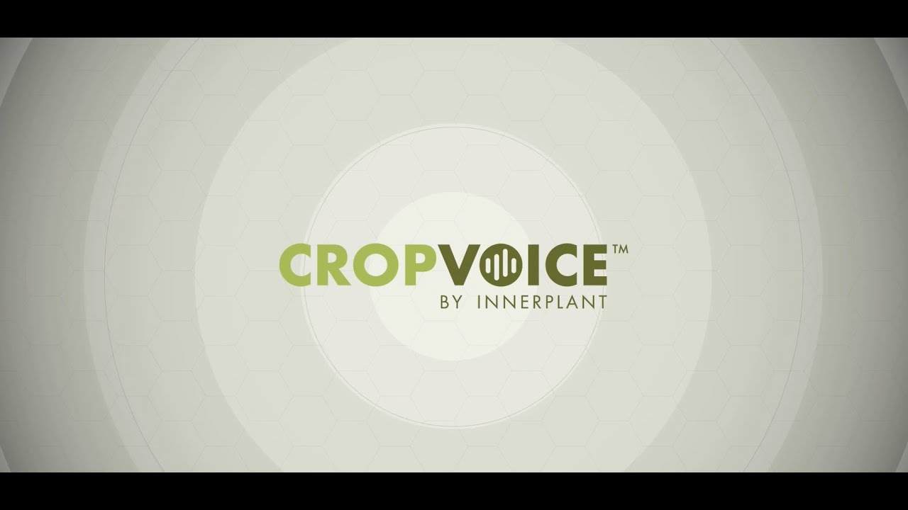 CropVoice: Taking the guesswork out of fungicide decisions (100-secs)