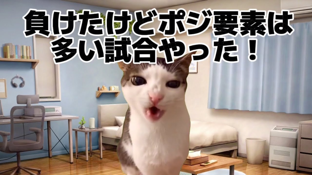 【中日】 猫ミーム 試合には敗れるも鵜飼選手のホームランを含むポジれる内容に満足する中日ファン #猫ミーム #中日ドラゴンズ #鵜飼航丞 #味谷大誠 #知野直人 #三上愛介 