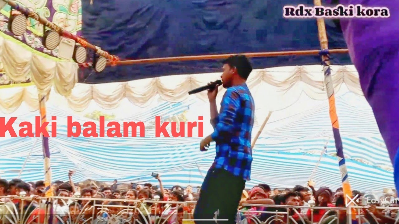 kaki balam kuri santali dinajpur  video 2026 #santali ##video  piparjoria Maheshpur Pakur santali 