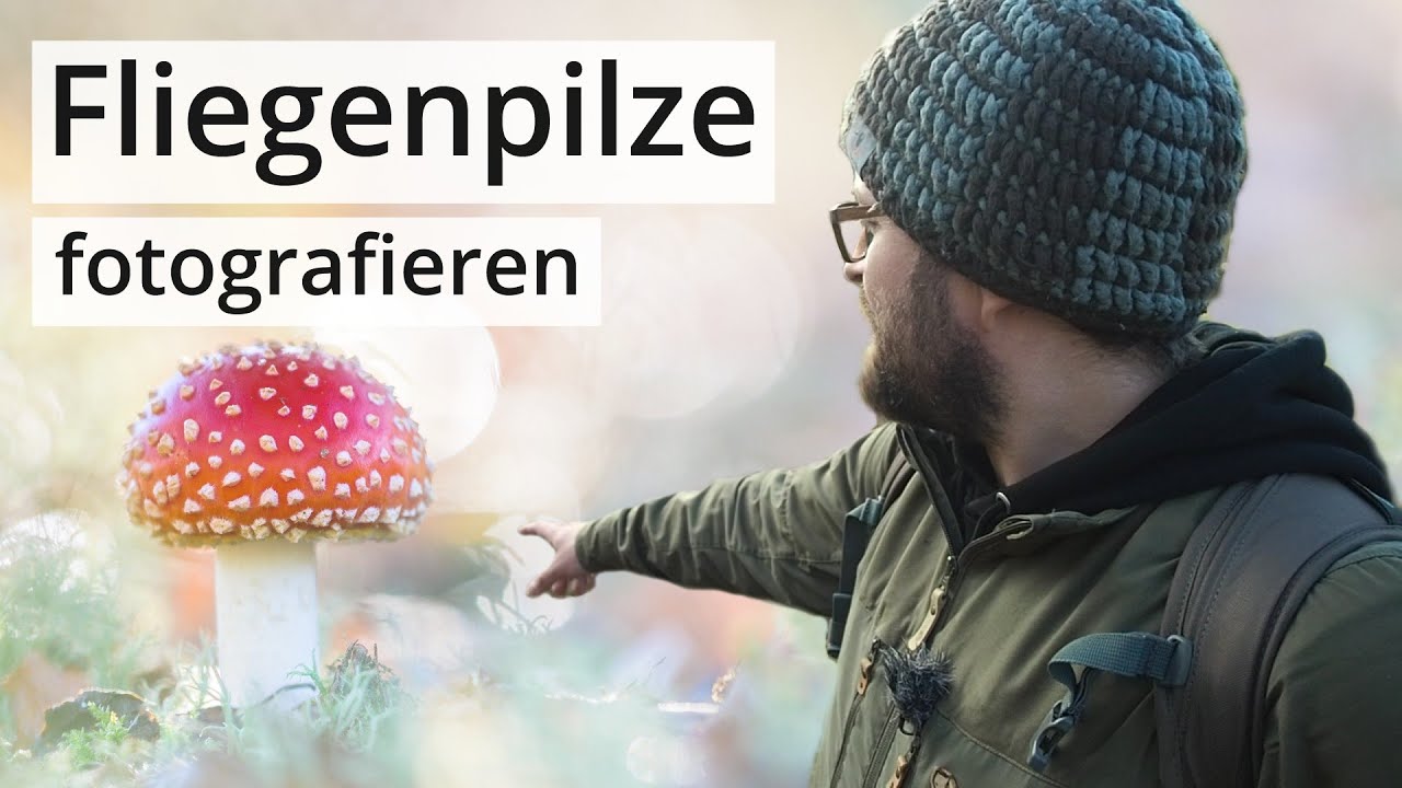 Naturfotografie: Endlich FLIEGENPILZE fotografieren