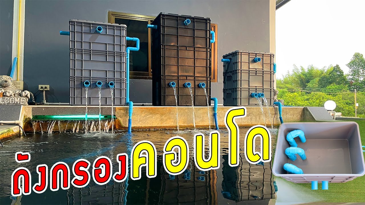 วิธีทำประกอบแบบละเอียดชุดถังกรองคอนโดนายตัวเองระบบเทพๆไม่เหมือนไครชุดเดียวจบทุกบ่อรูปแบบของนายตัวเอง