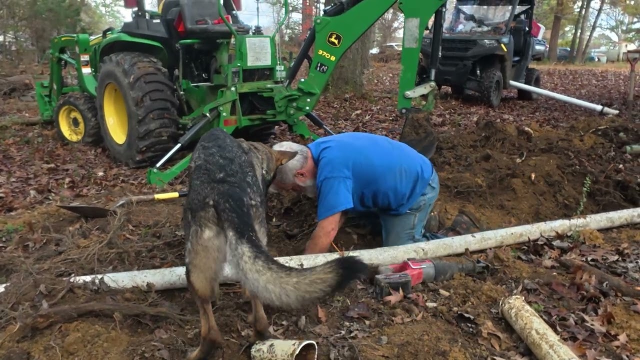 Never seen anything like this in my Life Time.  How does Roots grow so intwined in a Pipe.  EP