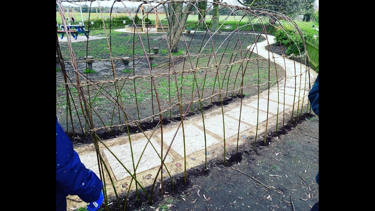 Willow Tunnel, St Pauls School, Addlestone, Surrey