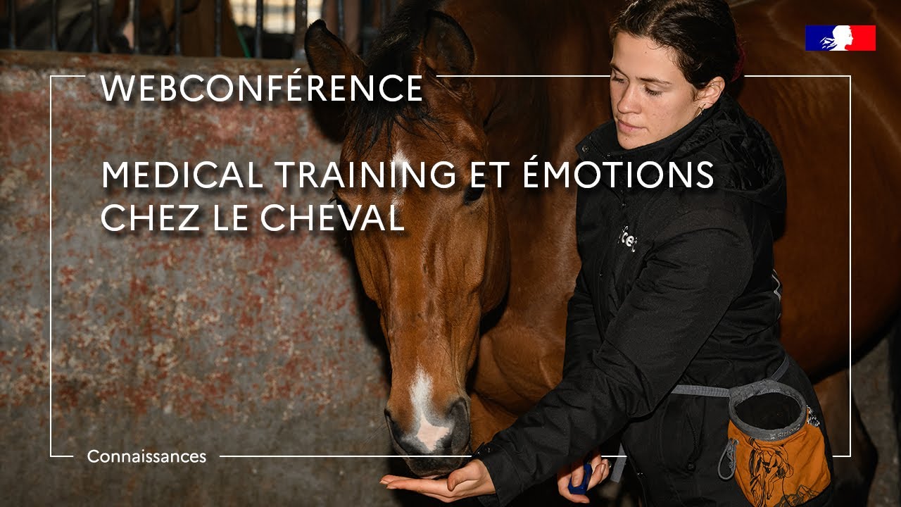Medical training et émotions chez le cheval - Diane Buffière