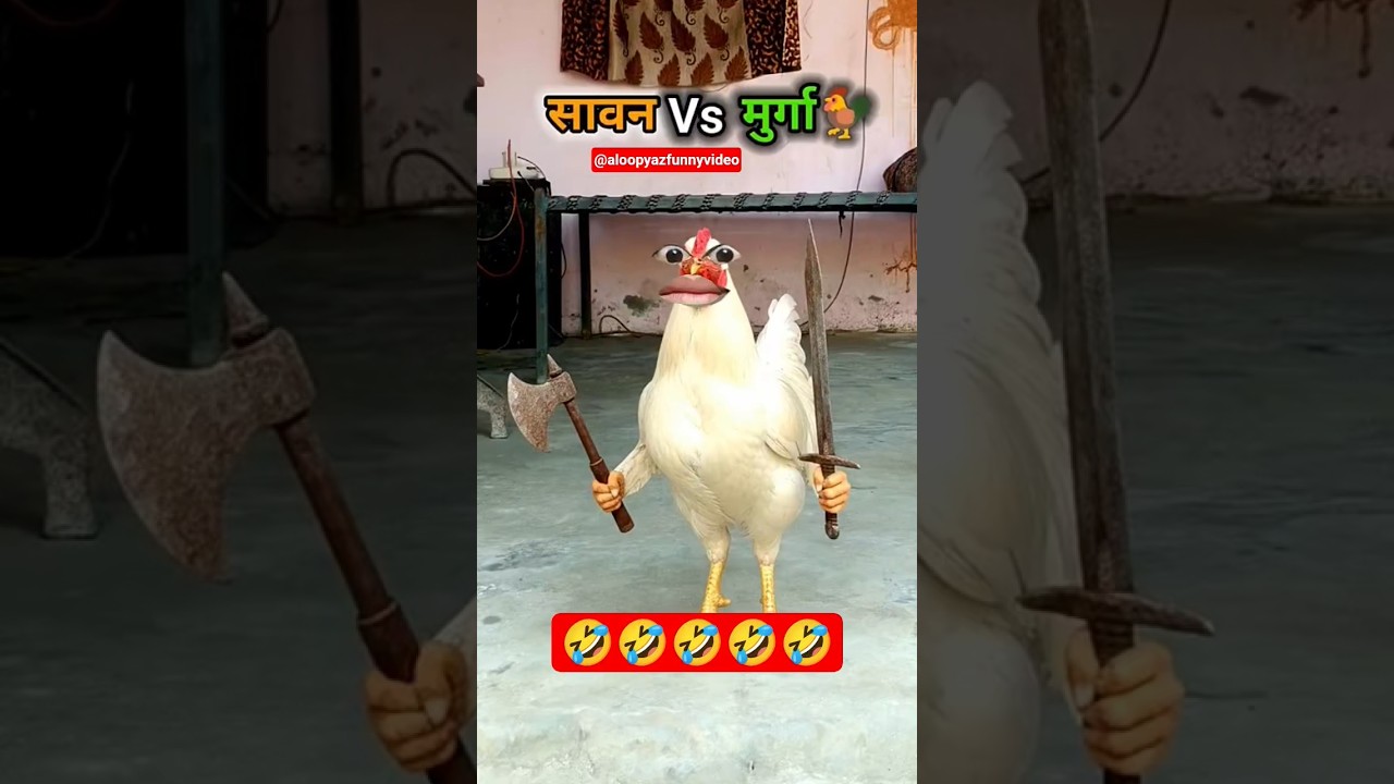 सावन Vs मुर्गा 3 🐓🤣 #shorts​ #funny​ #comedy​ #viral​ #shortvideos​ #murga​ #aloopyazfunnyvideo
