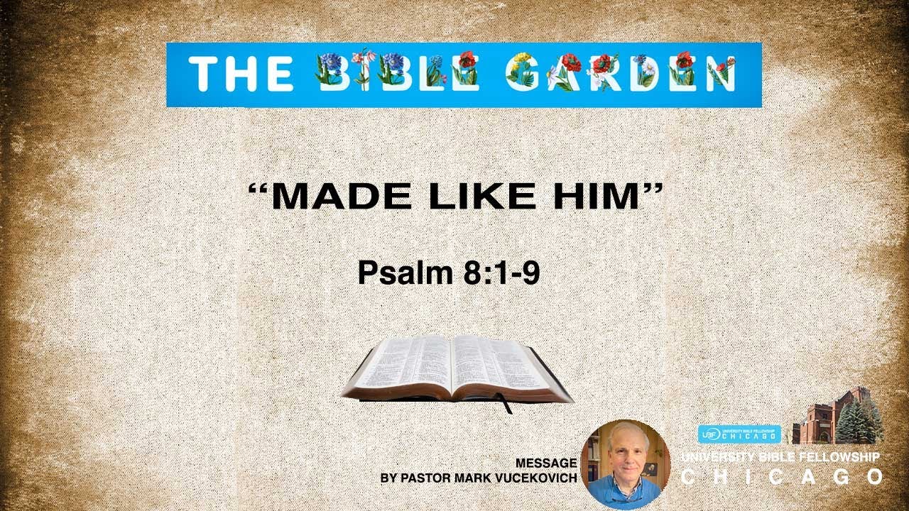 6/1/25 Made Like Him / Psalm 8:1-9