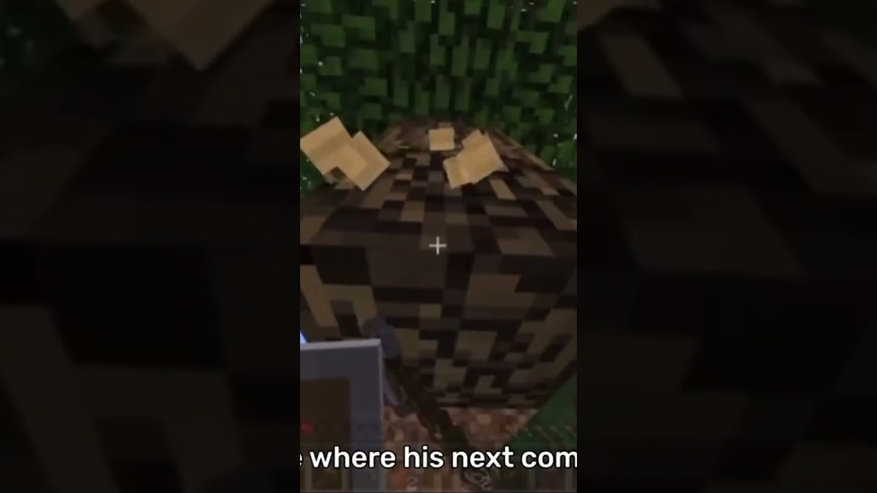 Ilia malinin playing minecraft pt 1💀 credit to iliaxquad #iceskating #figureskating #fypシ゚ #fy #fyp