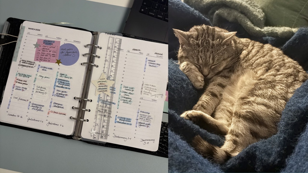 coffee & pages | ep. 6 ✸ march catchup in my filofax classic croc