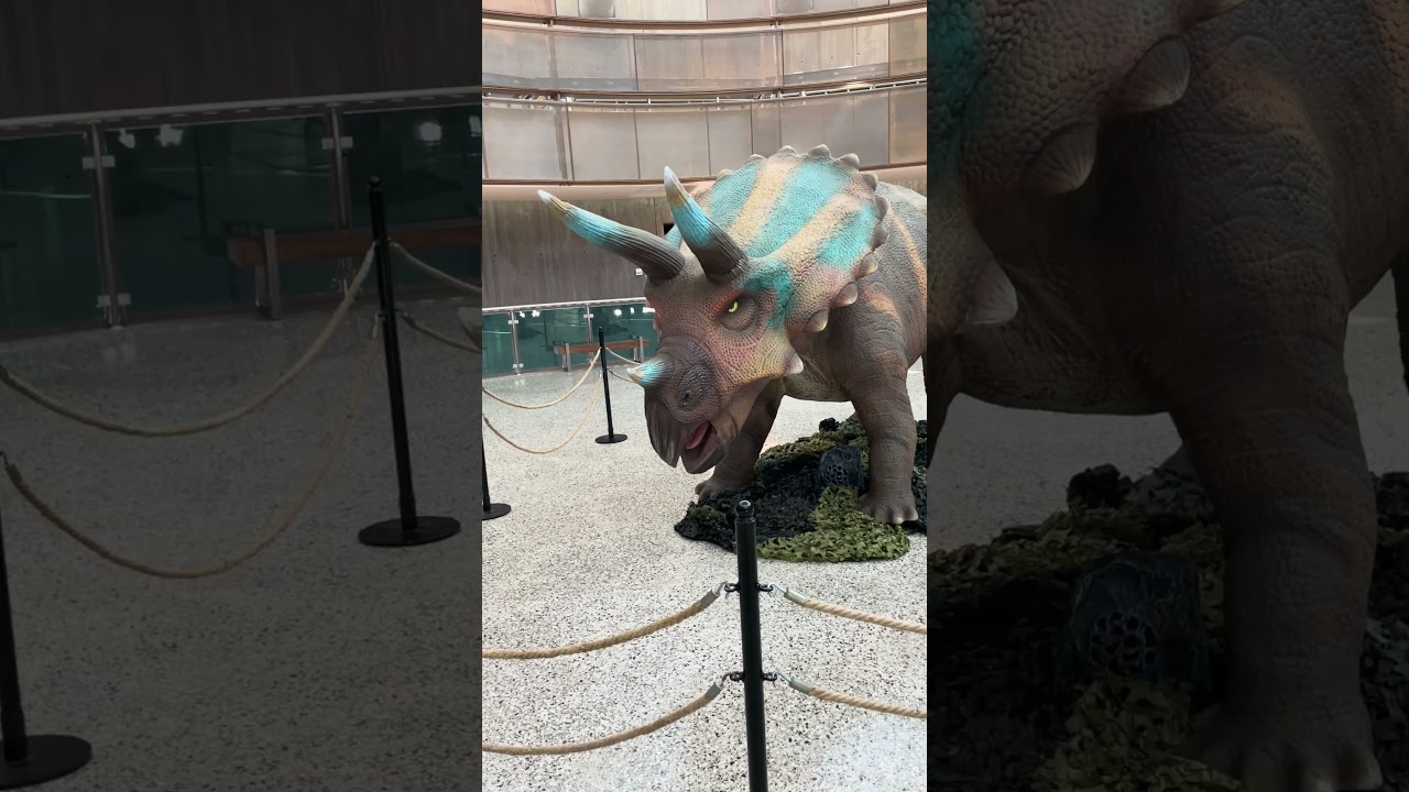 Springs preserve dinosaur exhibit #bblv