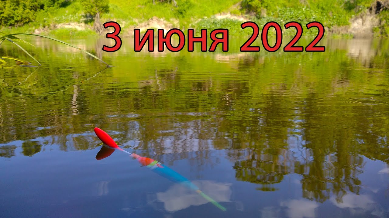 Рыбалка на поплавок 3 июня 2022