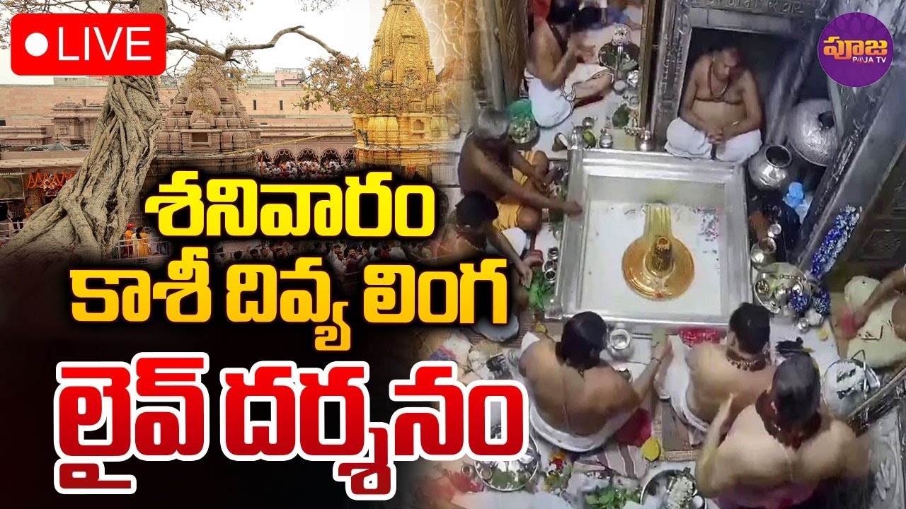 LIVE🔴Kashi Vishwanath Darshan | Lord Shiva Darshanam | Saturday | Pooja TV