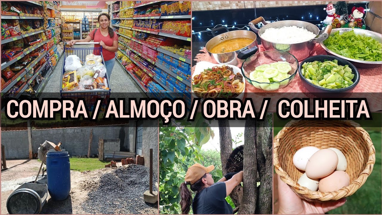 VOLTEI A COLHER OVOS/ENCANAMENTO EM OBRA/ALMOÇO DO DIA E COMPRAS NO SUPERMERCADO
