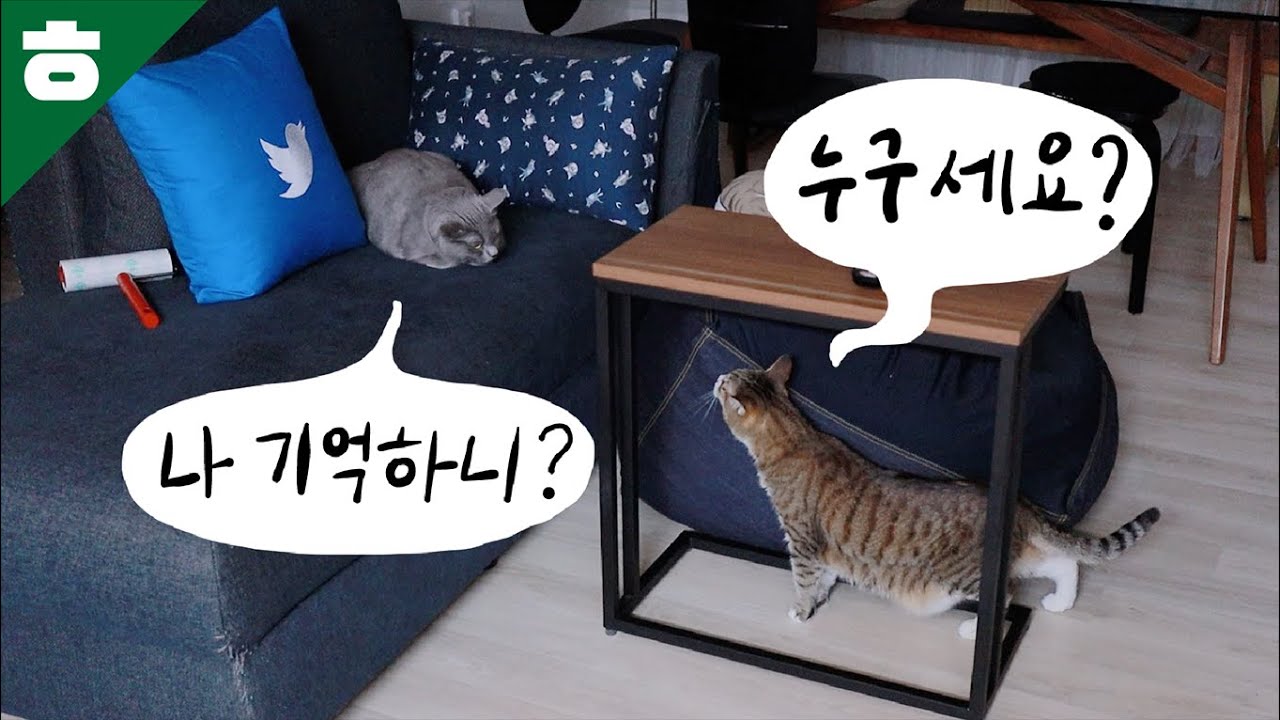 6년 만에 친구를 다시 만난 구름이?  3일간의 짜릿한 동거!