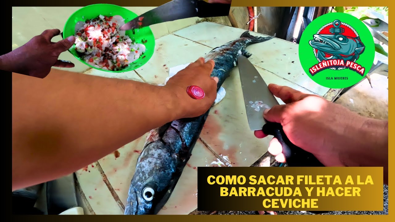 Рецепт севиче из барракуды, Исла Мухерес, Кинтана-Роо, полуостров Юкатан