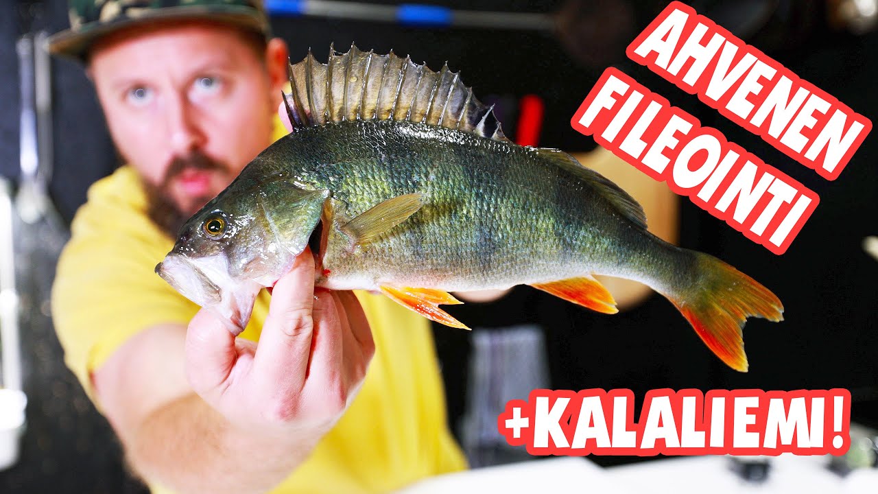 AHVENEN FILEOINTI JA KALALIEMI 🐟