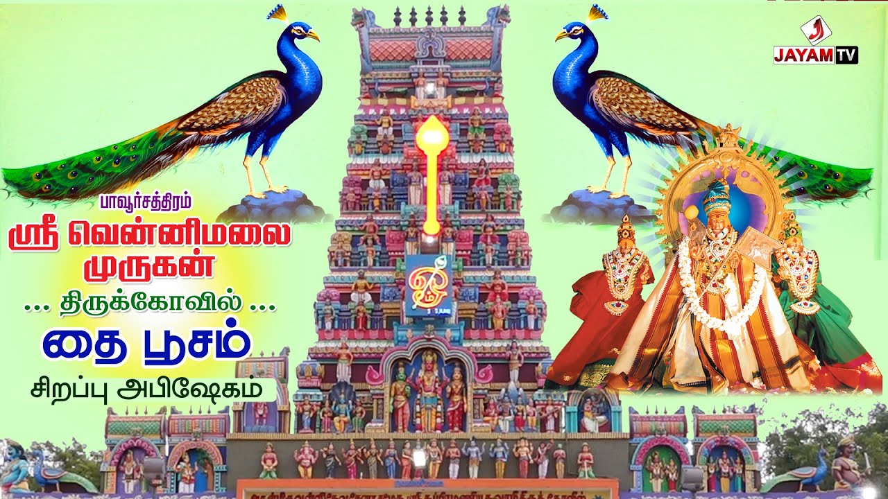 தைப்பூசம் திருவிழா | #thaipusam | #jayamtvpcm
