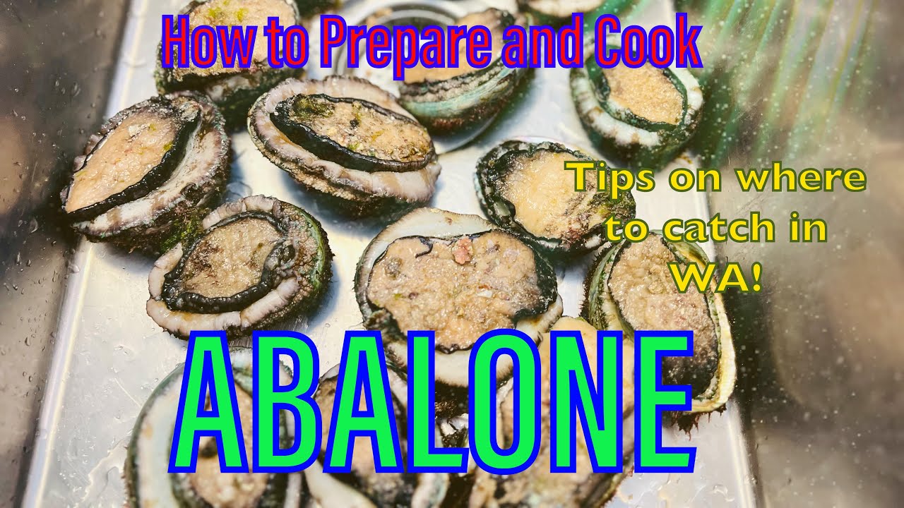 Abalone - How to Prepare and Cook