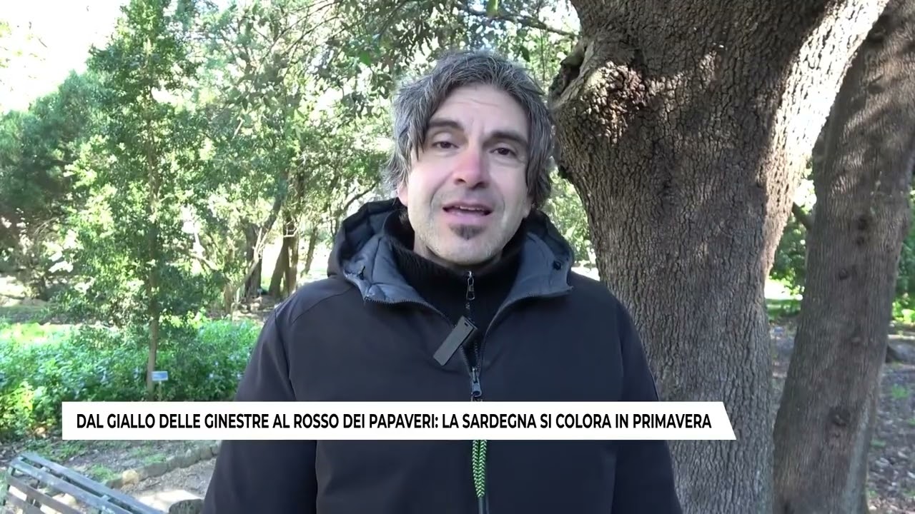 DAL GIALLO DELLE GINESTRE AL ROSSO DEI PAPAVERI, LA SARDEGNA SI COLORA IN PRIMAVERA
